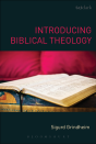 Introducing Biblical Theology - Preview
