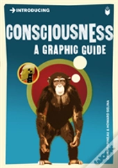 Introducing Consciousness