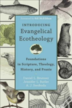 Capa do artigo Introducing Evangelical Ecotheology Â€“ Foundations In Scripture, Theology, History, And Praxis