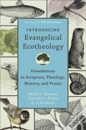 Capa do artigo Introducing Evangelical Ecotheology