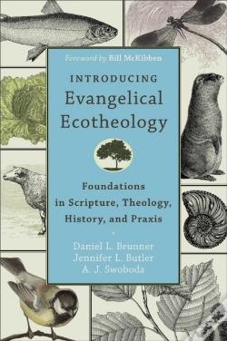 Capa do artigo Introducing Evangelical Ecotheology