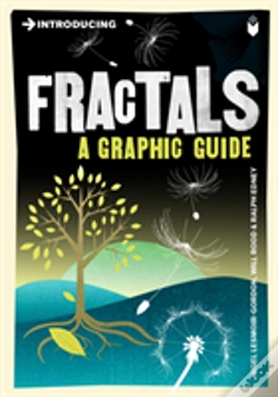 Capa do artigo Introducing Fractals