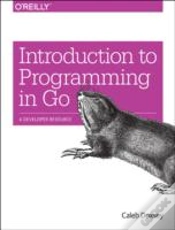 Capa do artigo Introducing Go