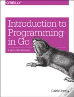 Capa do artigo Introducing Go
