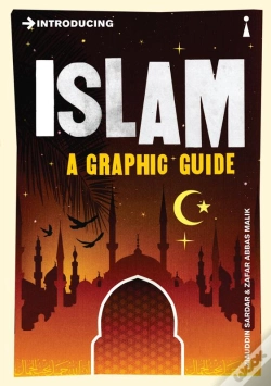 Capa do artigo Introducing Islam