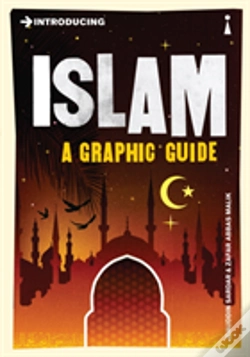 Capa do artigo Introducing Islam