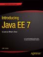 Introducing Java Ee 7 - Preview