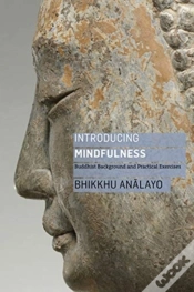 Capa do artigo Introducing Mindfulness