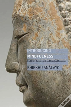 Capa do artigo Introducing Mindfulness