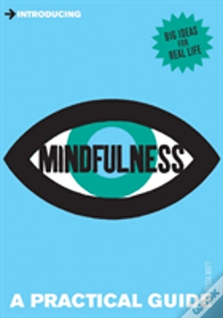 Capa do artigo Introducing Mindfulness