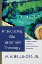 Introducing Old Testament Theology - Preview