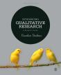 Introducing Qualitative Research - Preview