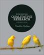 Introducing Qualitative Research - Preview