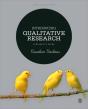 Introducing Qualitative Research - Preview