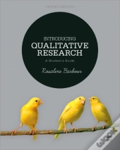 Capa do artigo Introducing Qualitative Research