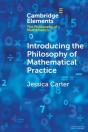 Introducing The Philosophy Of Mathematical Practice - Preview