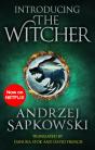 Introducing The Witcher - Preview