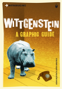 Introducing Wittgenstein - Preview