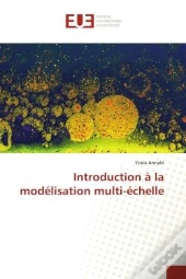 Introduction A La Modelisation Multi-Echelle