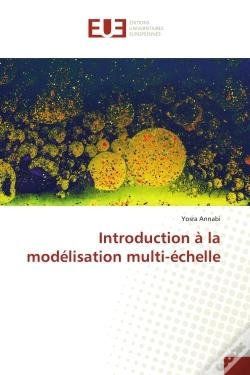 Capa do artigo Introduction A La Modelisation Multi-Echelle
