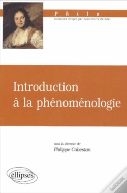 Capa do artigo Introduction A La Phenomenologie