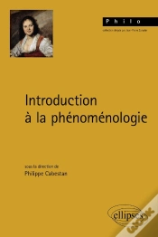 Capa do artigo Introduction À La Phénoménologie
