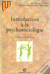 Introduction A La Psychosociologie Concepts Et Etudes De Cas