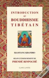 Introduction Au Bouddhisme Tibetain ; Selon L'Enseignement De Phende Rinpoche