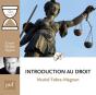 Introduction Au Droit En Une Heure - Preview