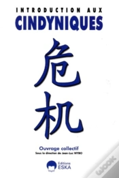 Capa do artigo Introduction Aux Cindyniques