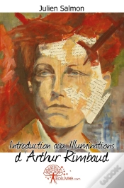 Capa do artigo Introduction Aux Illuminations D