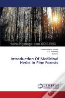 Introduction Of Medicinal Herbs In Pine Forests