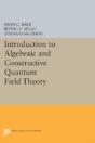 Introduction To Algebraic And Constructive Quantum Field Theory - Preview