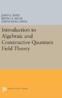 Introduction To Algebraic And Constructive Quantum Field Theory - Preview