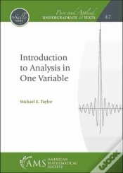 Capa do artigo Introduction To Analysis In One Variable