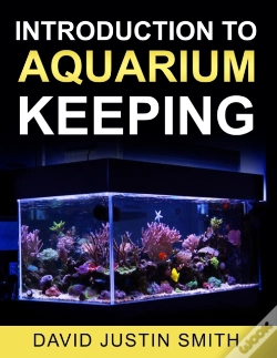 Capa do artigo Introduction To Aquarium Keeping