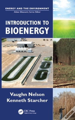 Capa do artigo Introduction To Bioenergy