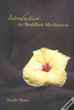 Capa do artigo Introduction To Buddhist Meditation