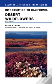 Introduction To California Desert Wildflowers