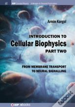 Introduction To Cellular Biophysics, Volume 2