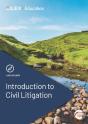 Introduction To Civil Litigation - Preview