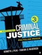 Introduction To Criminal Justice - Preview