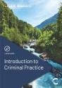 Introduction To Criminal Practice - Preview