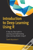 Introduction To Deep Learning Using R
