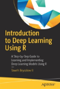 Introduction To Deep Learning Using R - Preview