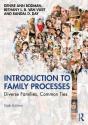 Introduction To Family Processes - Preview