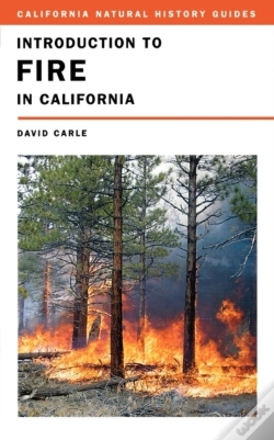 Capa do artigo Introduction To Fire In California