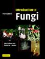 Introduction To Fungi - Preview