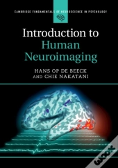 Introduction To Human Neuroimaging