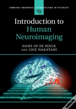 Capa do artigo Introduction To Human Neuroimaging